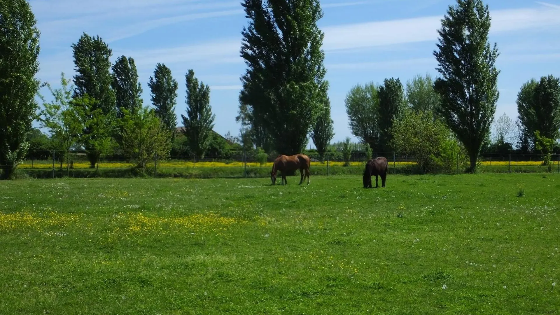 Farm stay Agriturismo Adriano Pedretti Badia Polesine