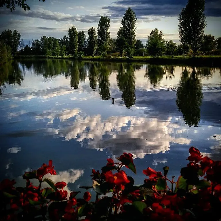 Agriturismo Adriano Pedretti Badia Polesine Farm stay